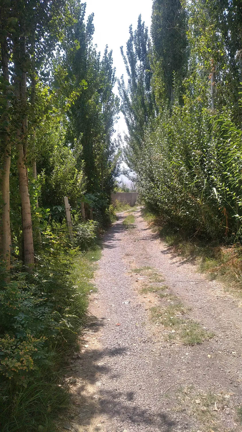 1000 متر باغچه سر سبز