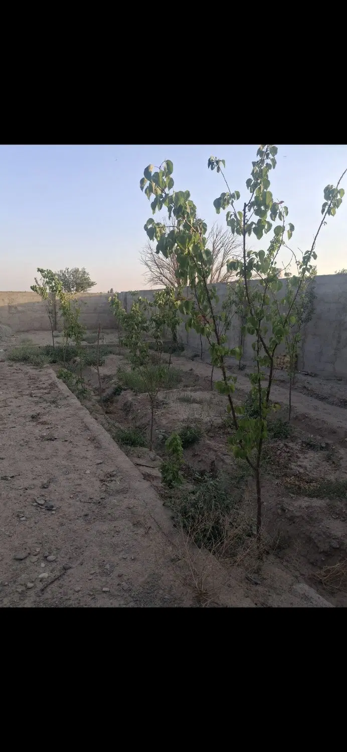 باغچه فروشی