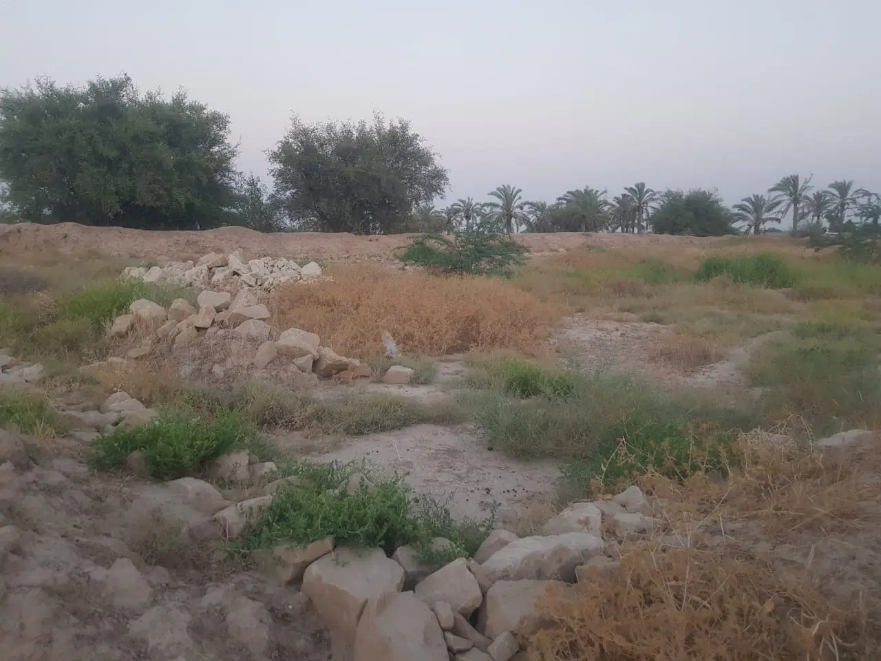 فروش زمین باغی
