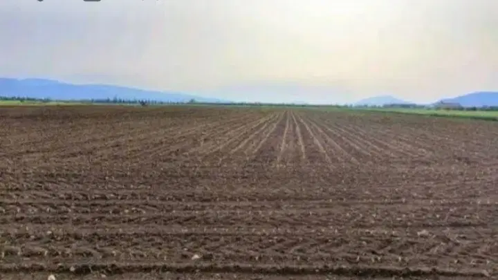 خیابان تختی شمالی۱۶قصب زمین داخل کوچه ۱۰متری