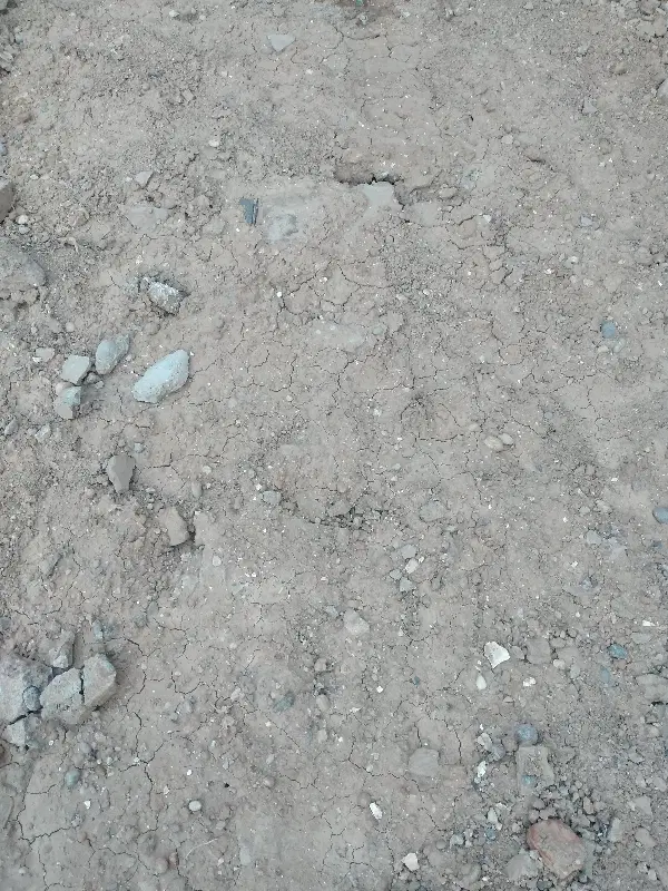 زمین مسکونی در عین ۲