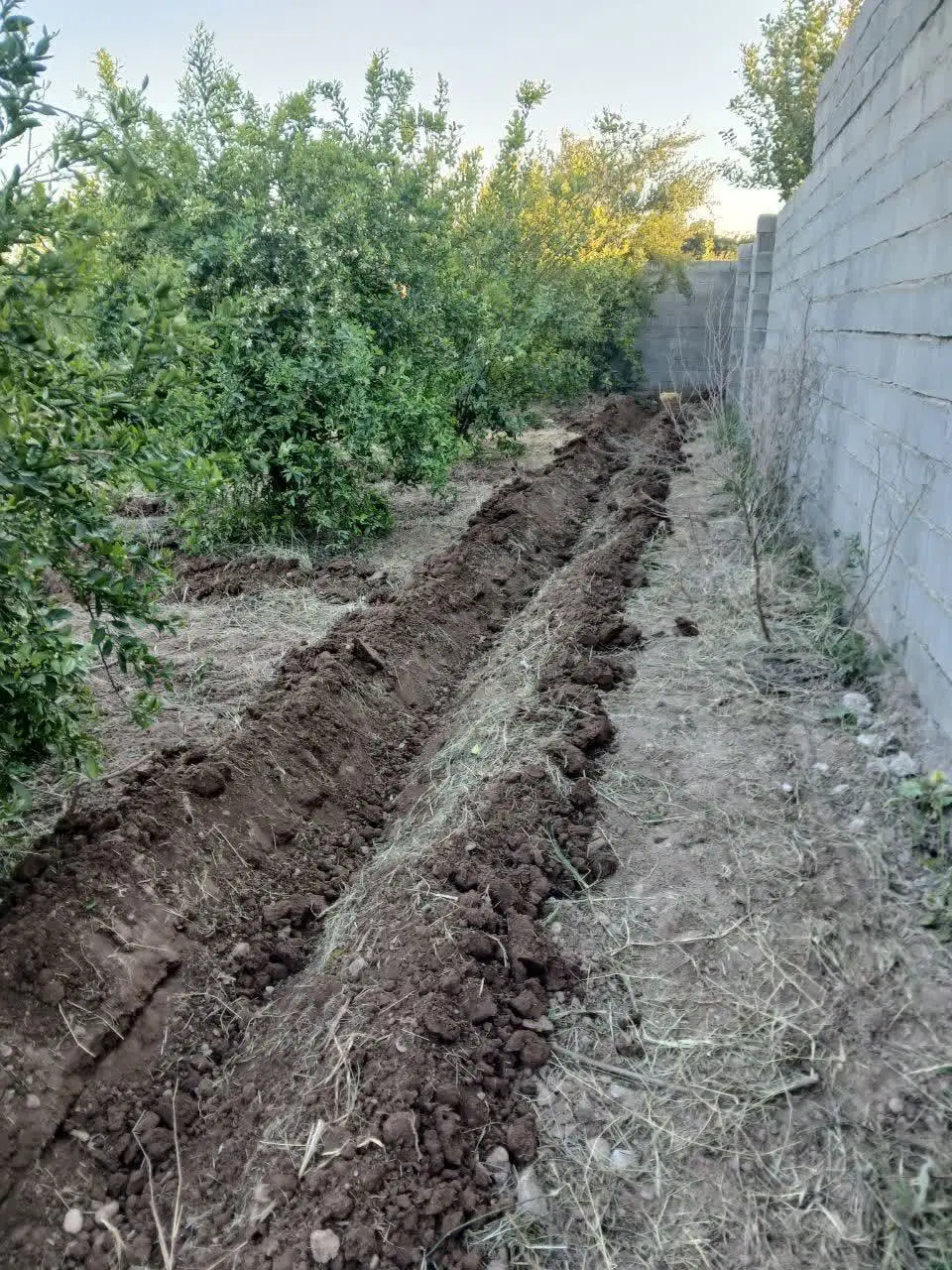 باغچه ۷۰۰متری قلعه نو