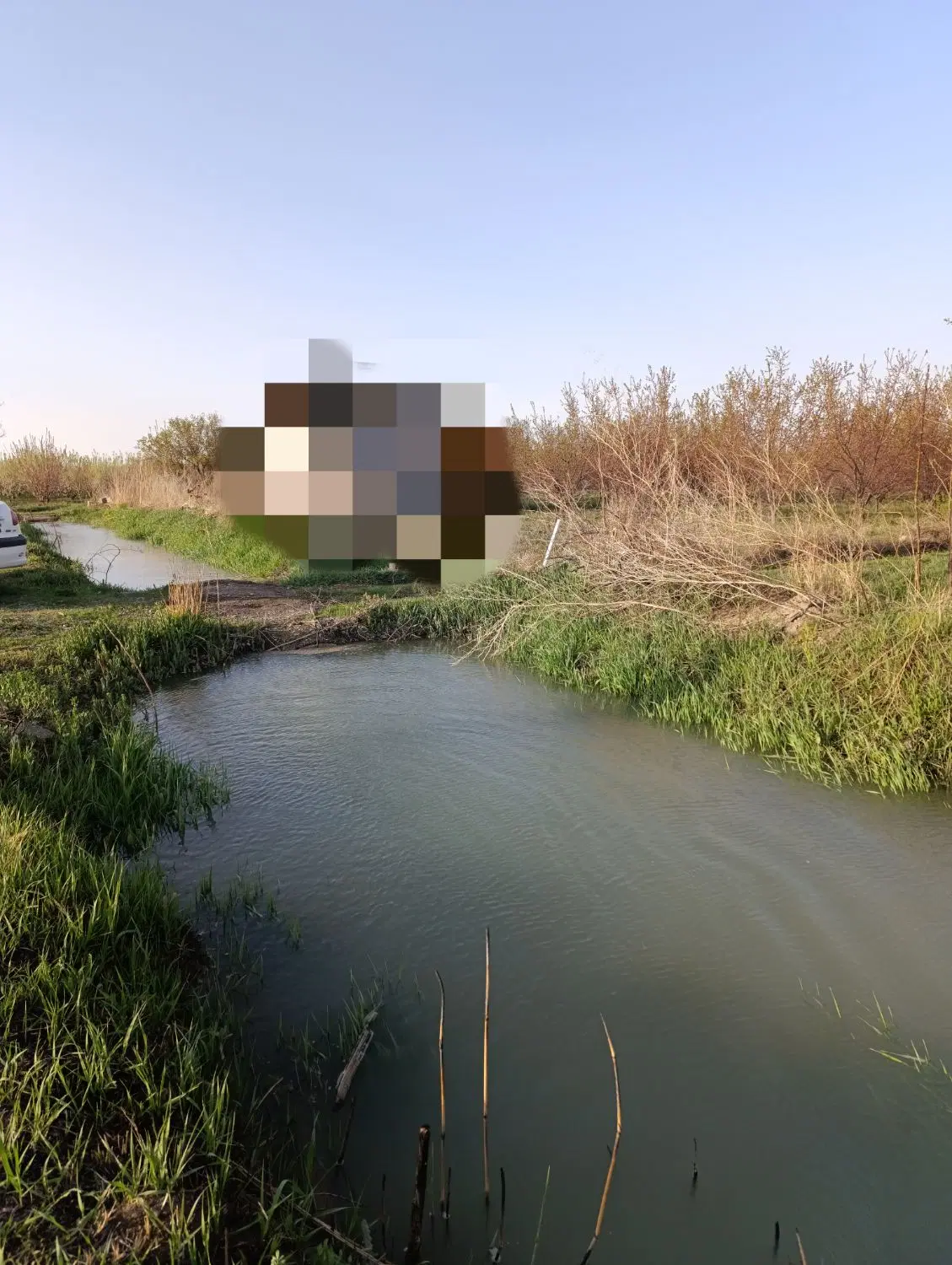 فروش باغ زردآلو ۱۵۰۰متر