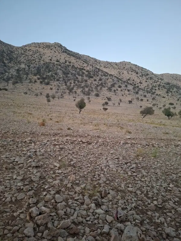 زمین ویلایی
