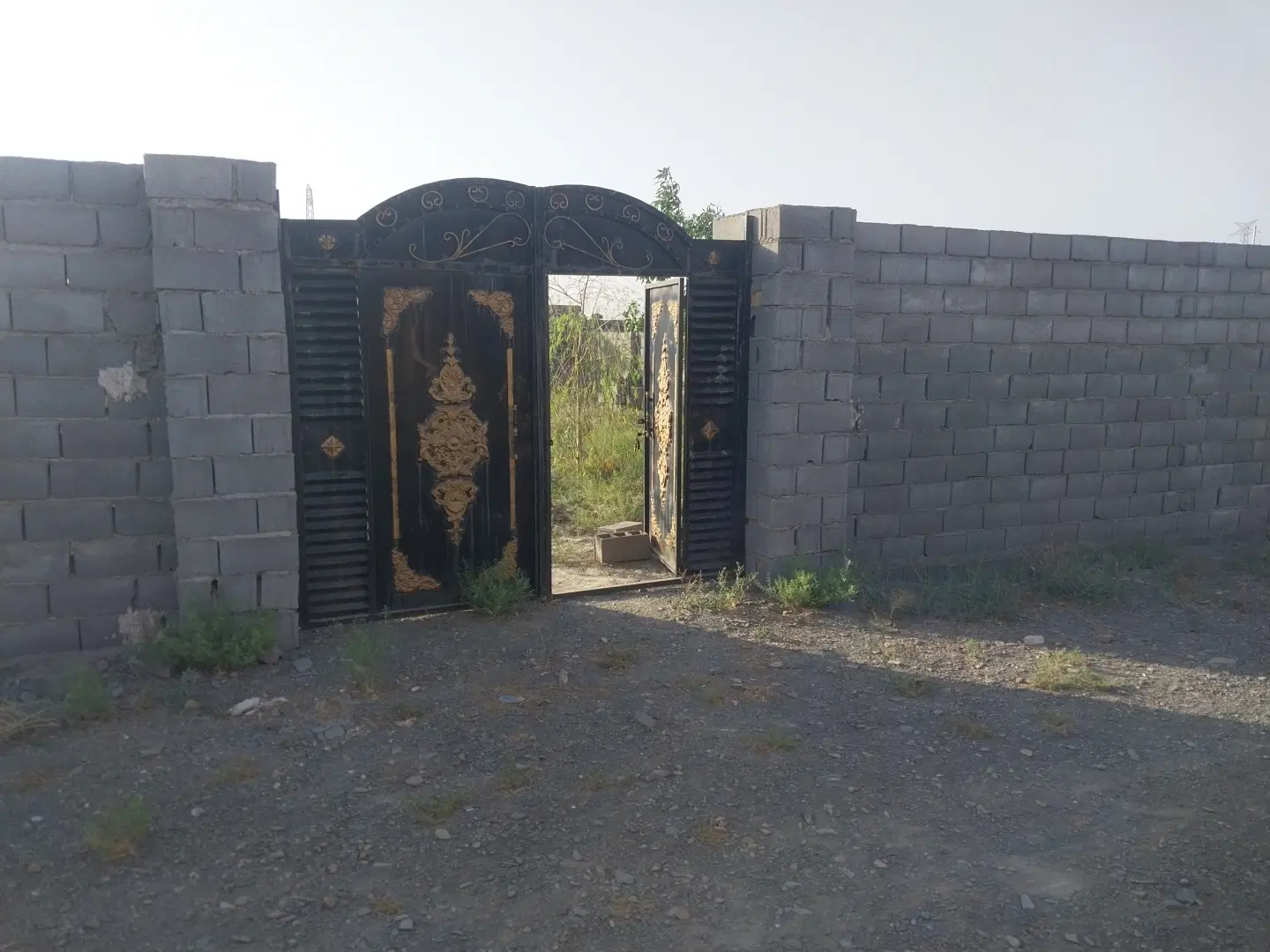 قطعه پاتصدمتری دوردیدار نهالکاری