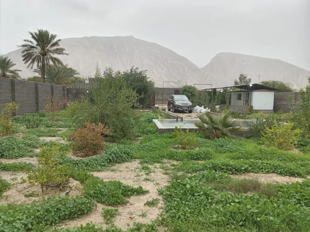 فروش زمین در روستای باشی تنگستان