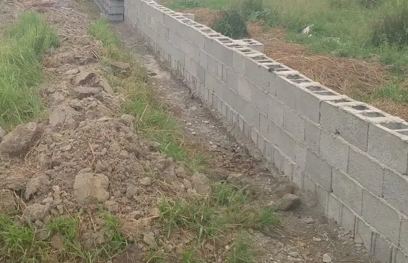 زمین توس ۱۱۷