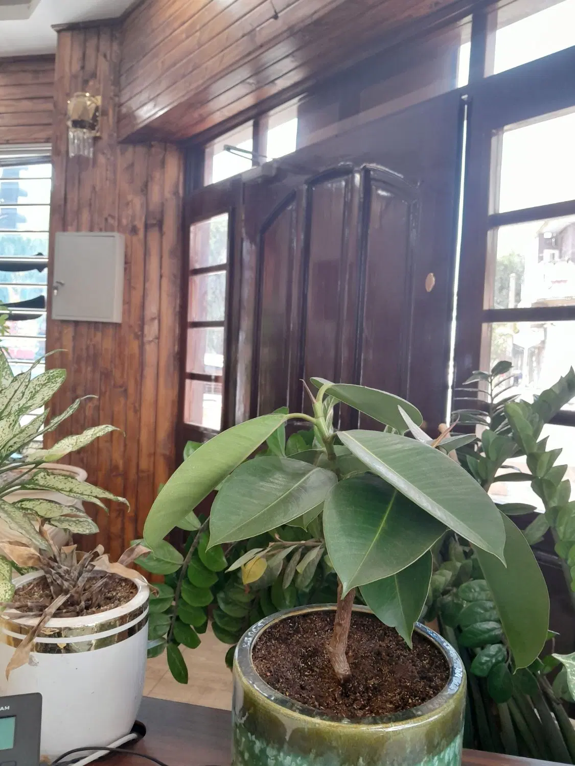 دربست