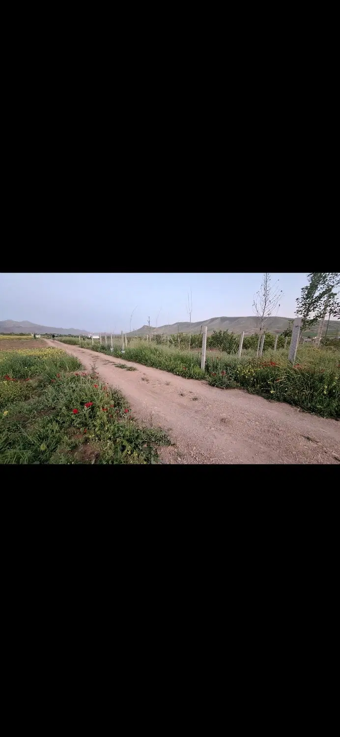 زمین باغی کمالوند نگهبان۲۴ ساعته