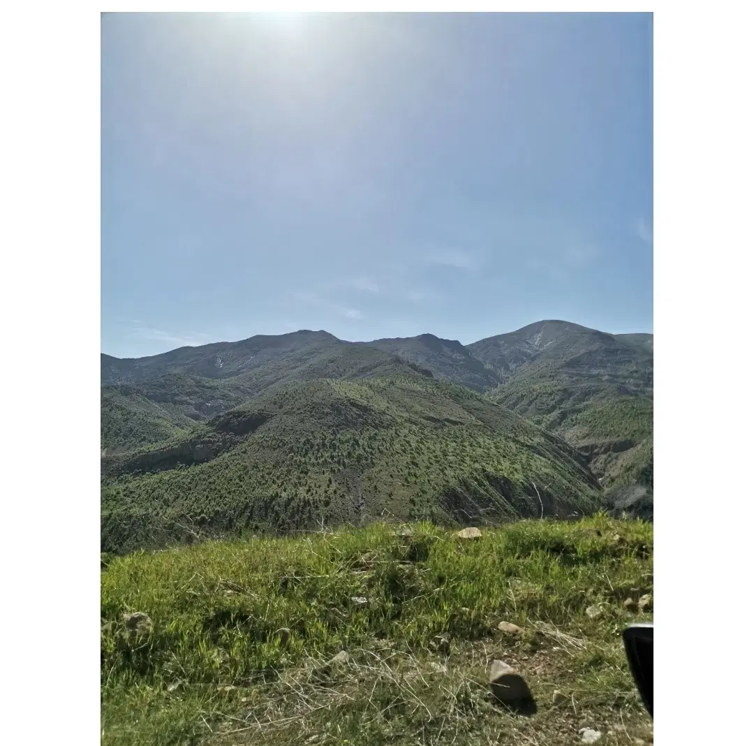 دریابک