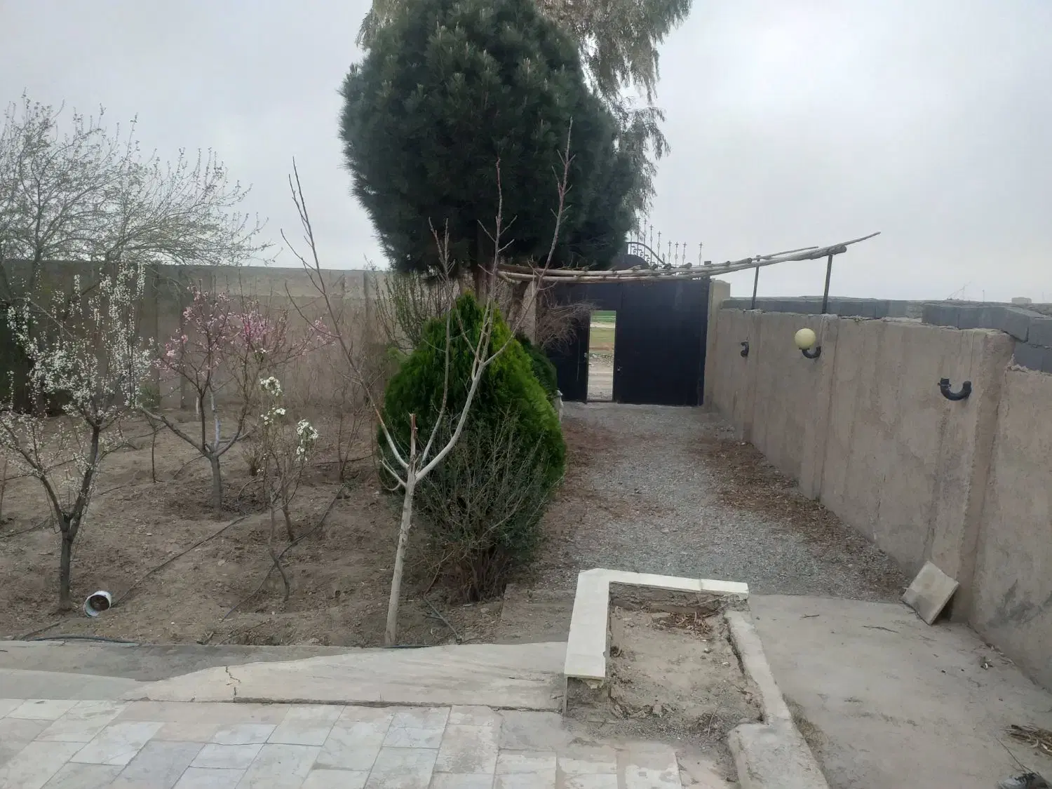 باغ ۵۰۰متری