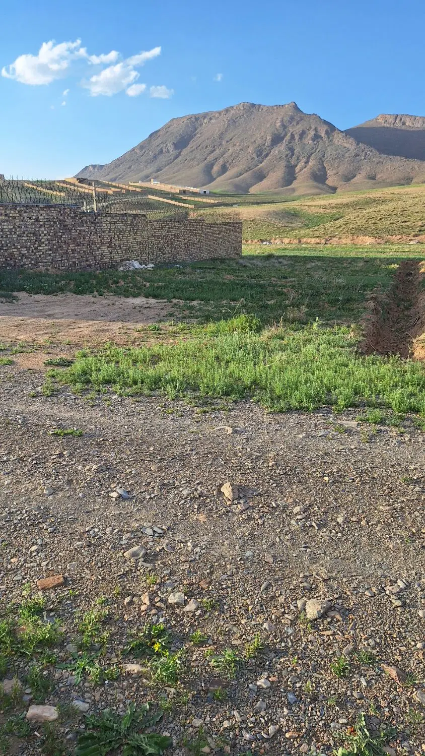 زمین ویلایی