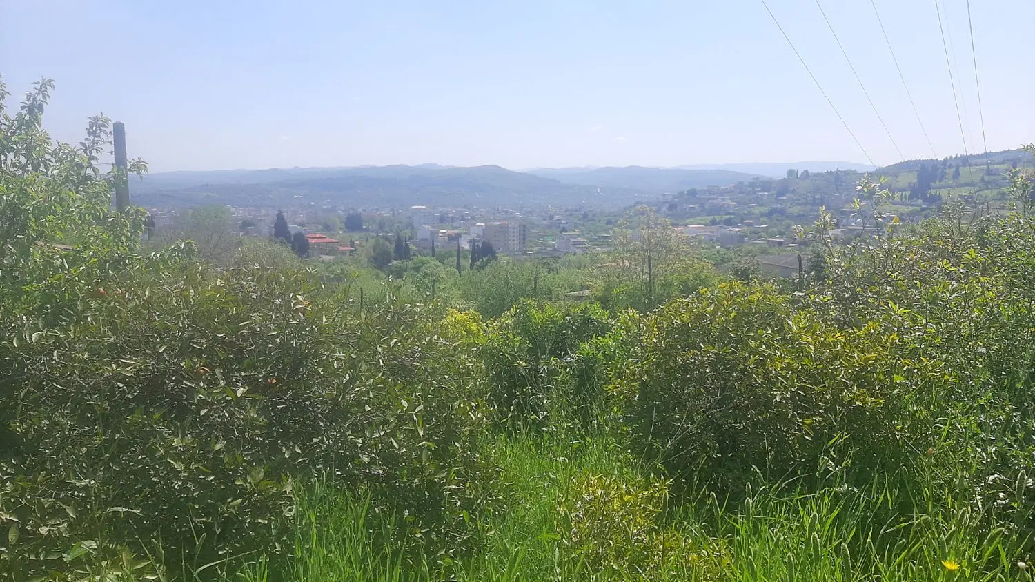 فروش زمین کشاورزی برا ساخت ویلا ...