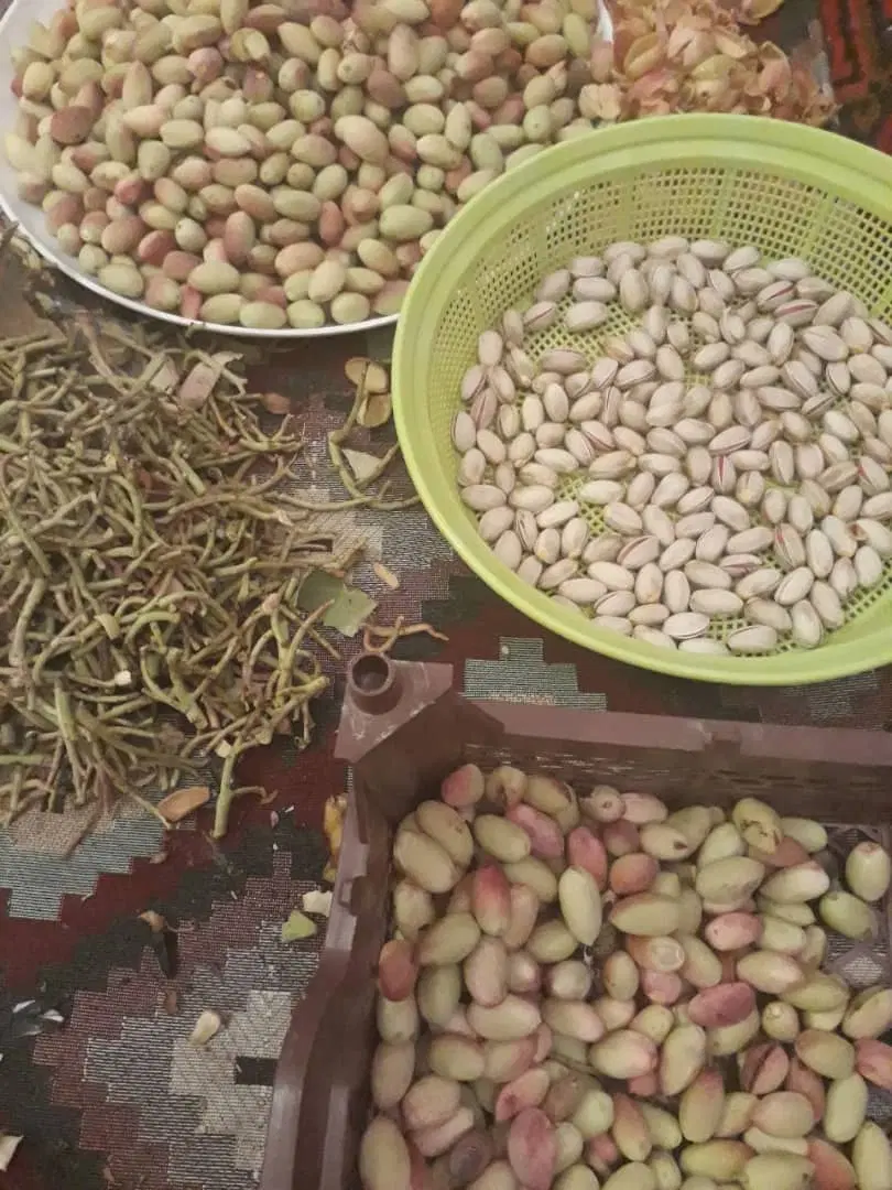 باغ مرندروستای قراجه محمد