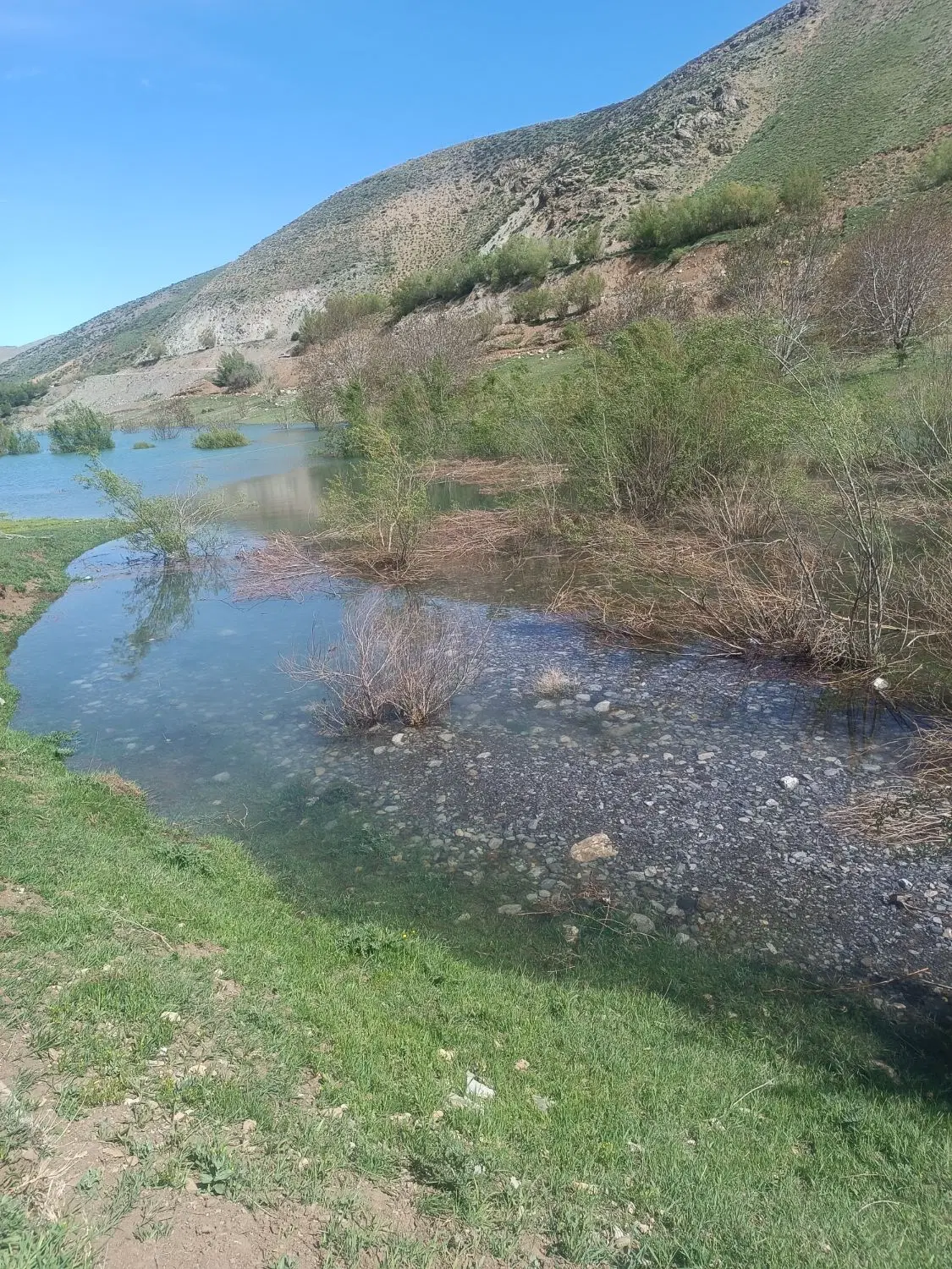 خونه نیم پلاکه