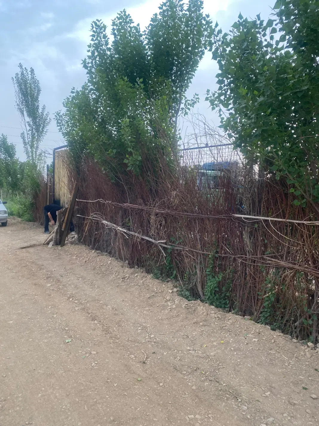 اجاره خانه ویلایی