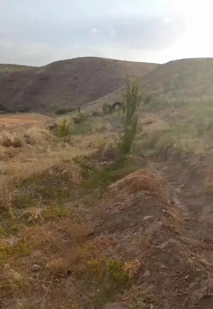 فروش باغ روستای آران