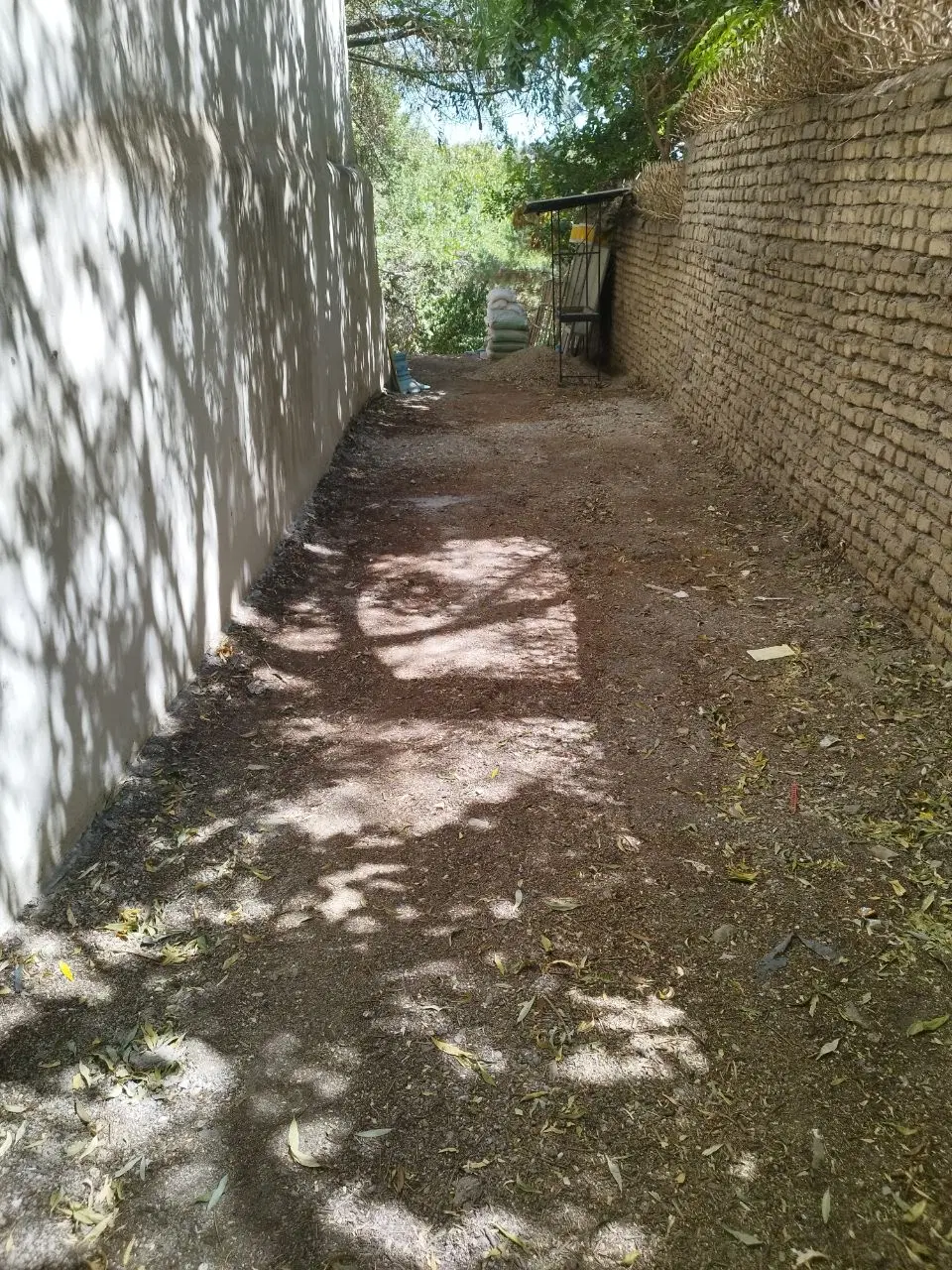 اجاره باغ