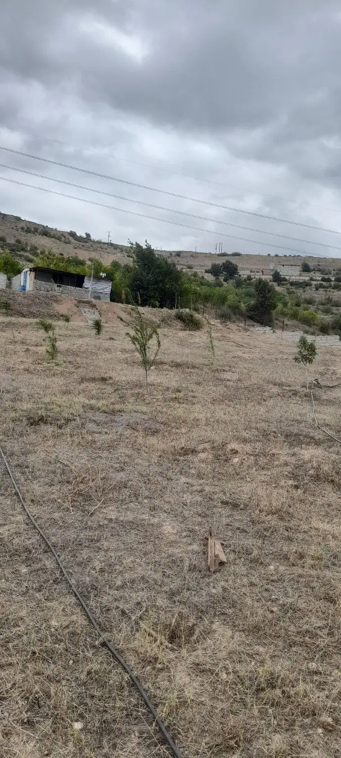 ۱۶۰۰ متر زمین رودبار لویه