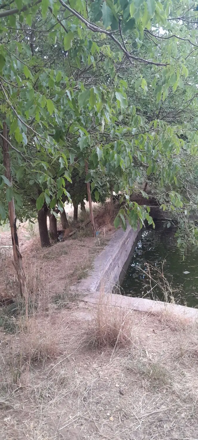 باغ