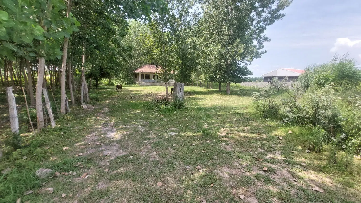 ۴۰۰۰ متر زمین مسکونی وباغی و خانه قدیمی