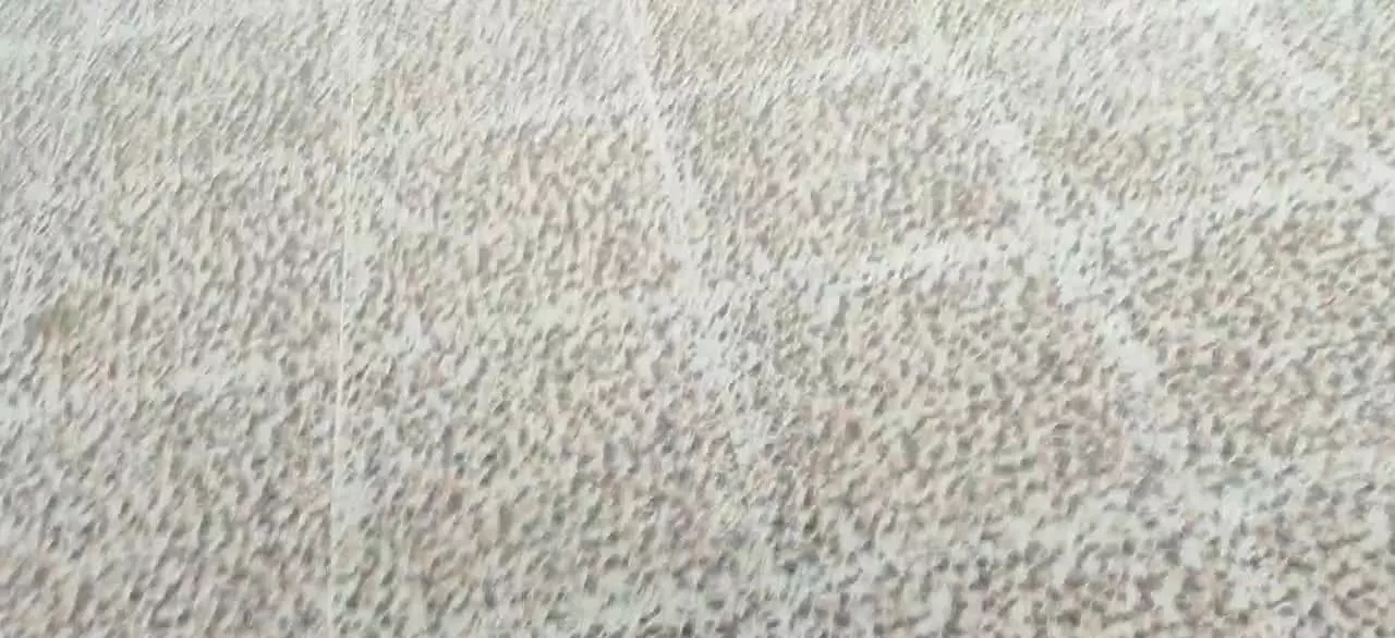 اجاره مسکونی