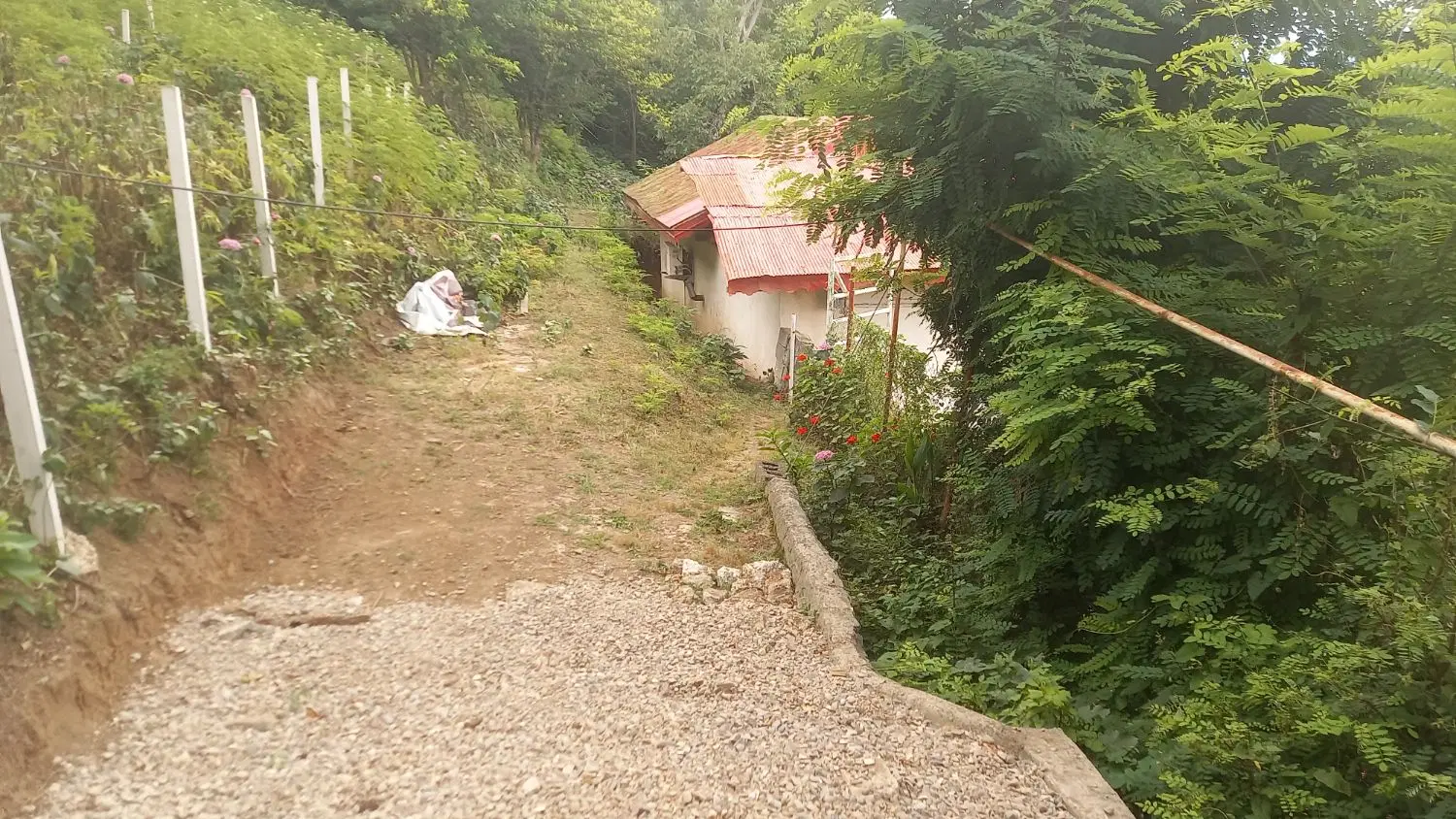ویلا جنگلی