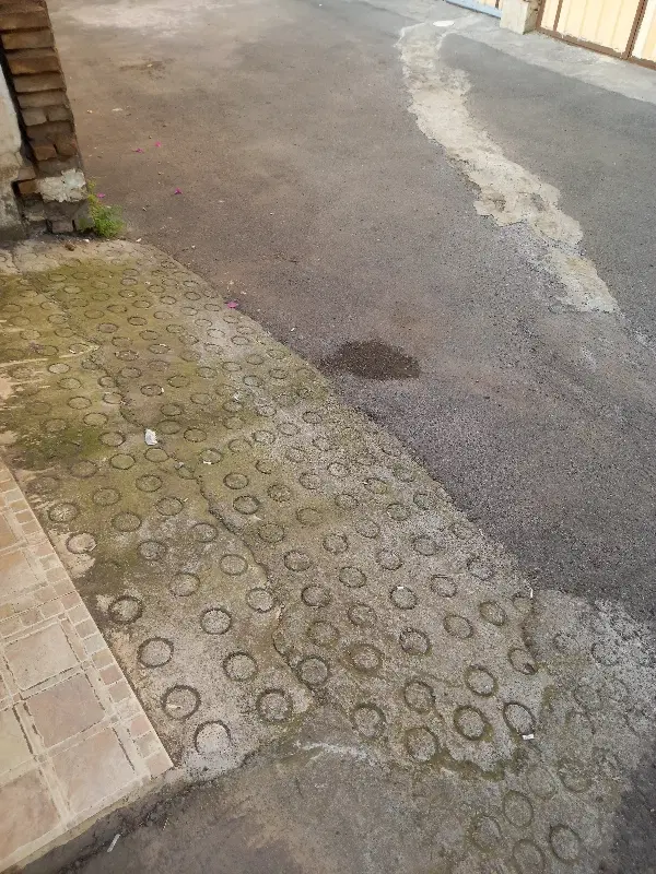 زمین