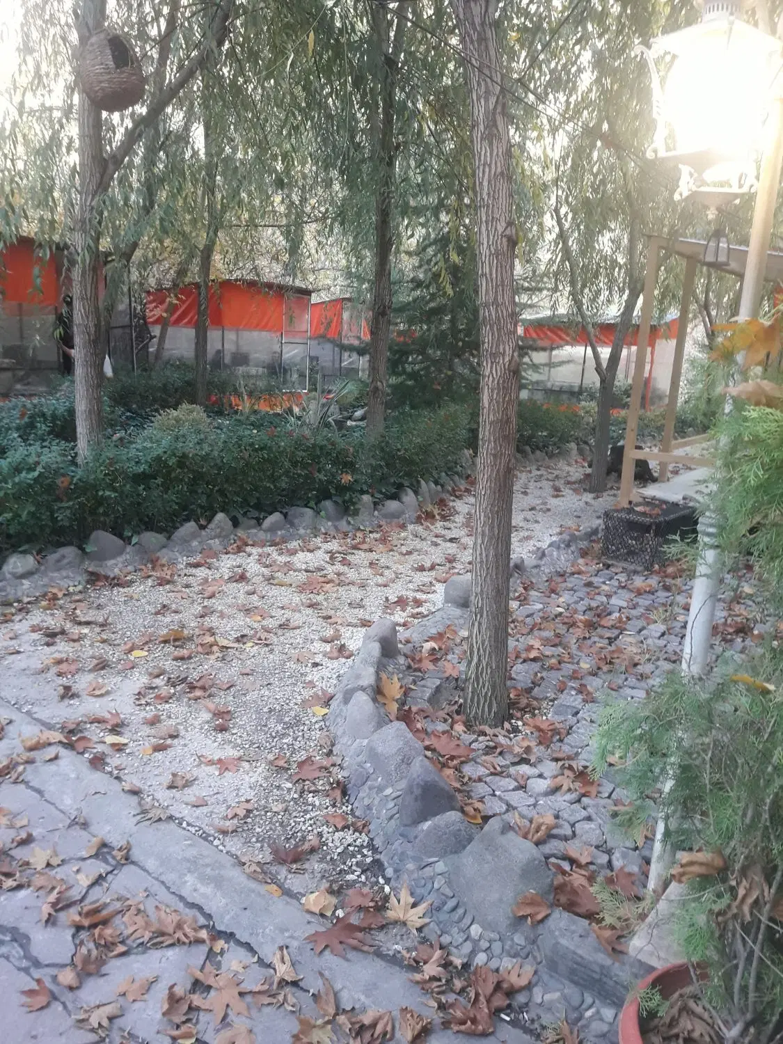 زمین مسکونی خیابان دانش اموز
