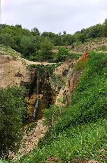 تجاری مطهری زیر قیمت