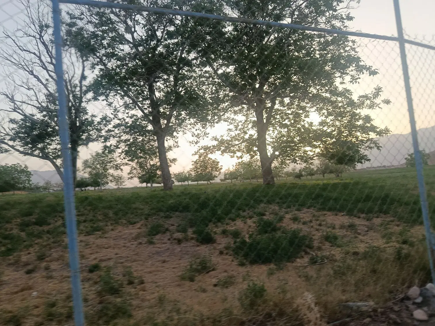 زمین کوهپایه15قصب