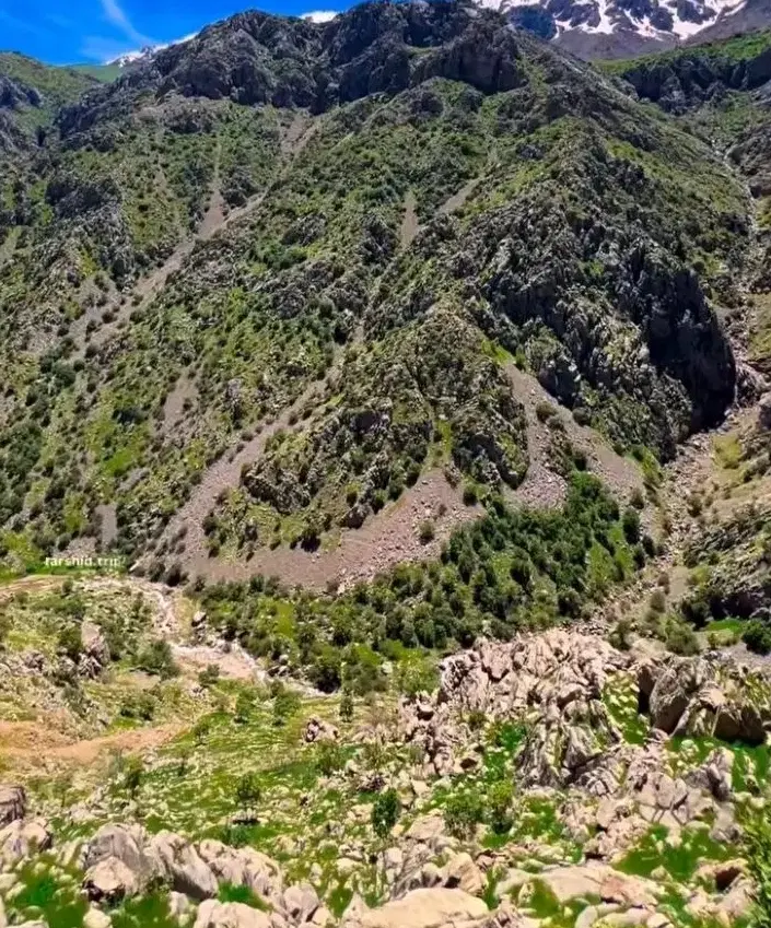 همخونه...