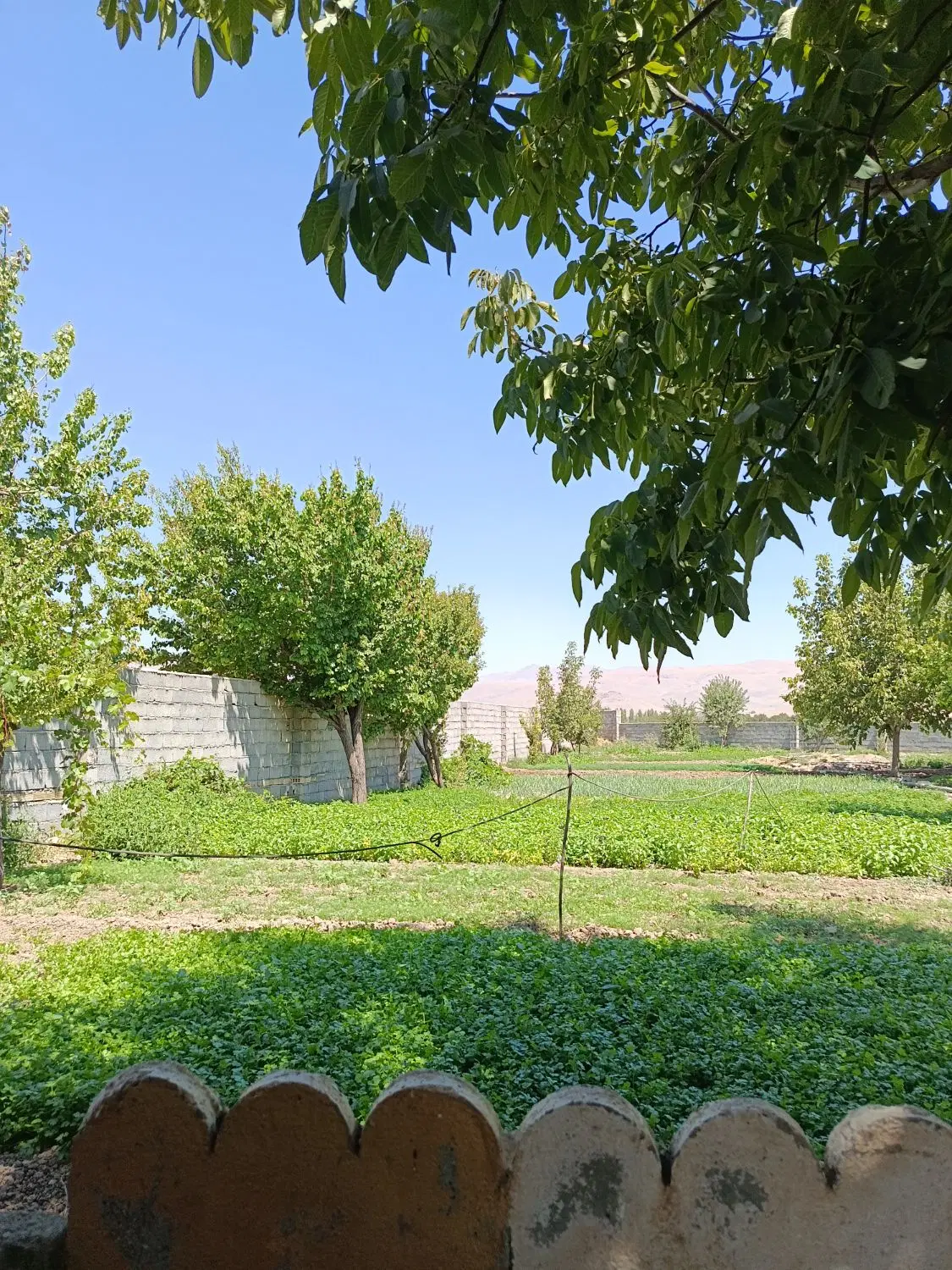 اجاره باغ ویلا سالانه