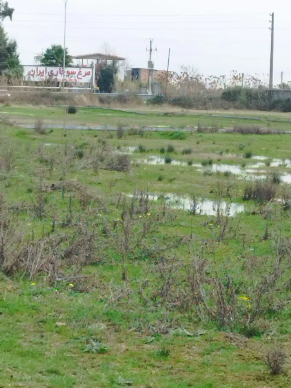 فروش زمین  سانخیل کولا