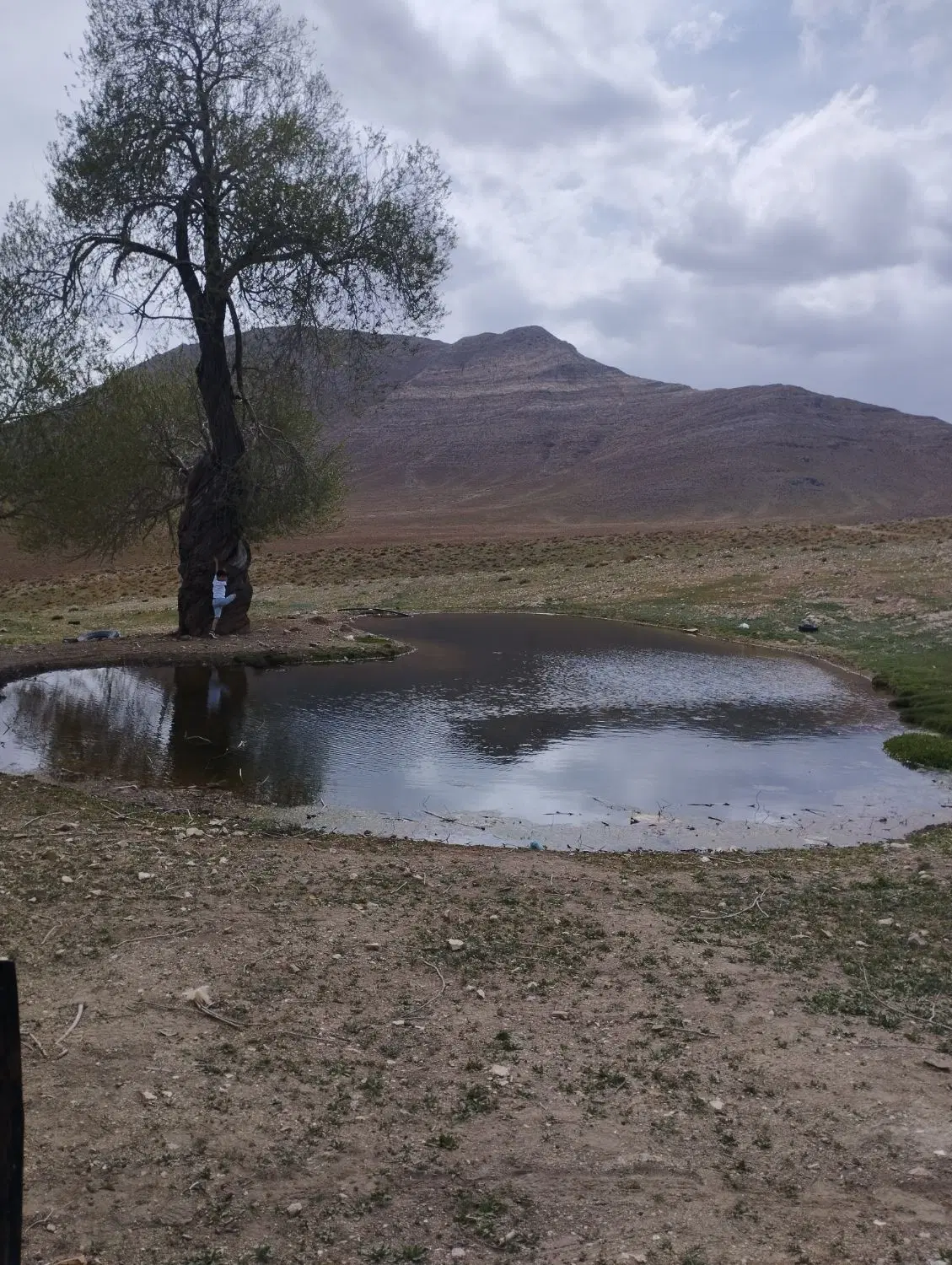 زمین فروشی