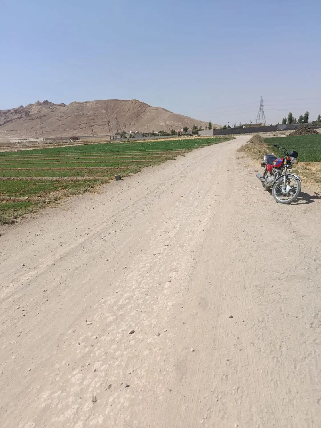 زمین باغی