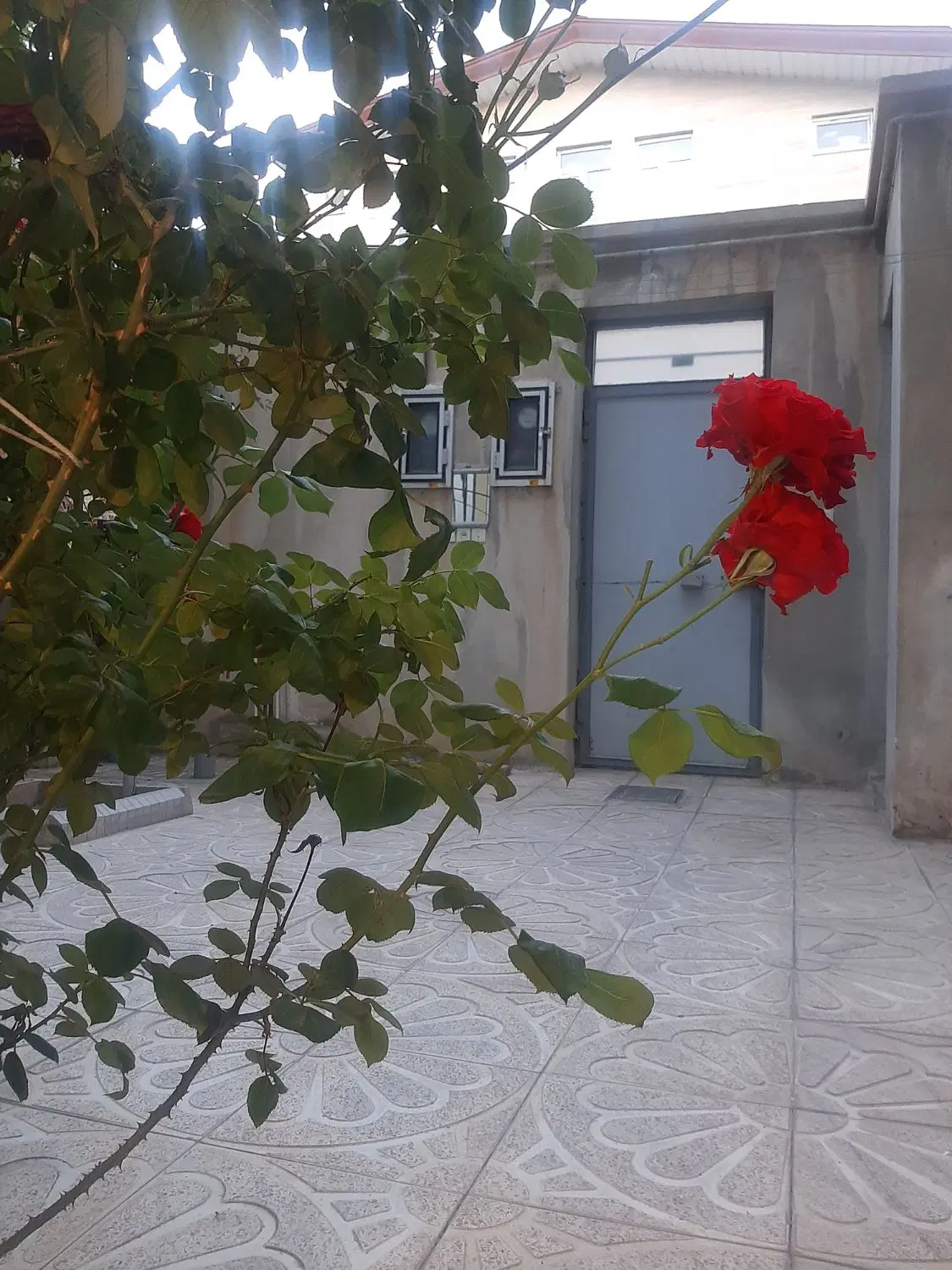 خانه تمیز برای تازه عروس و دوماد