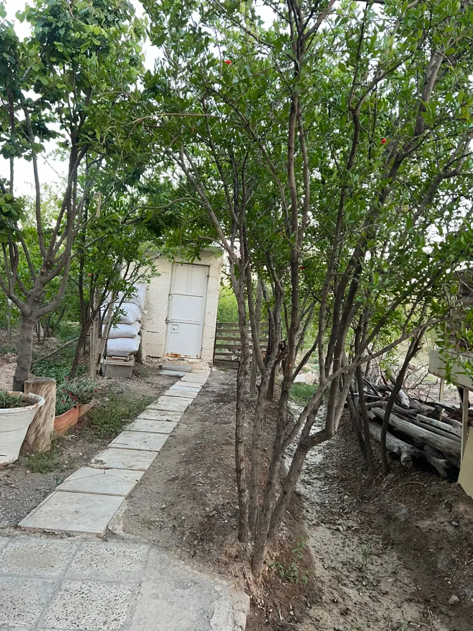 باغ اناروپسته