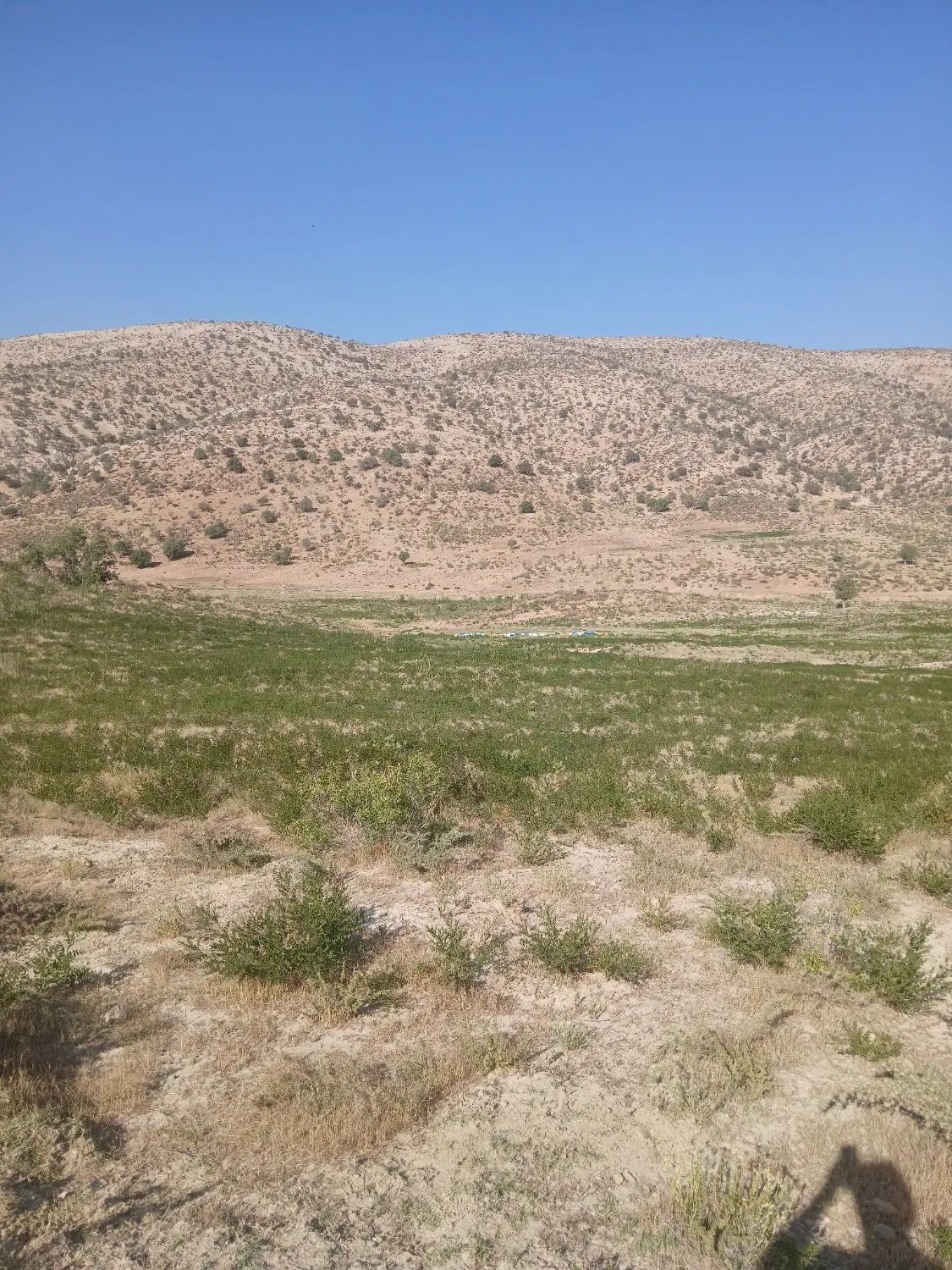 فروش زمین خالی جای باغ به مساحت ۲۳۰۰متر مربع