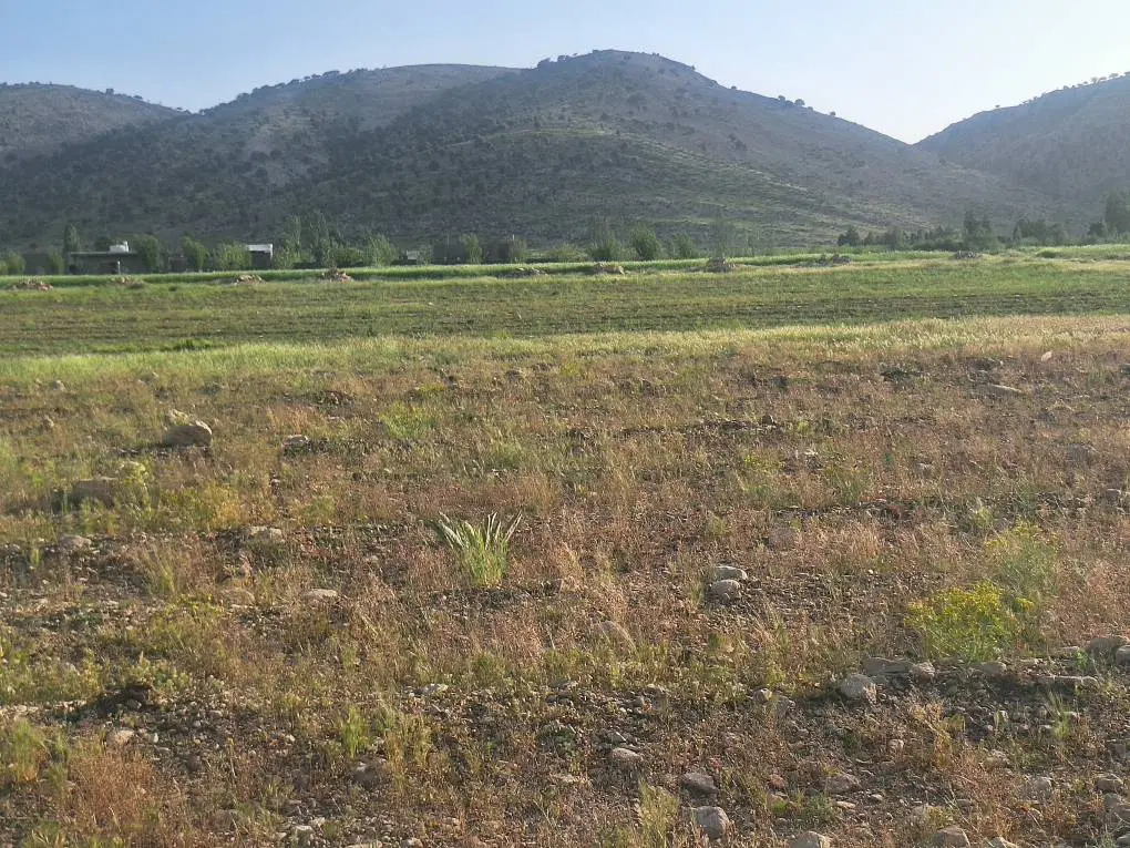فروش زمین باغ در سرگچینه مناسب خونه باغ ویلایی