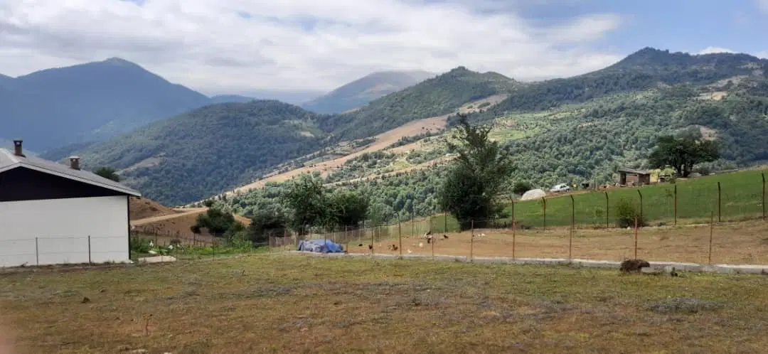 زمین مسکونی کوهستانی با ویوو درجه یک