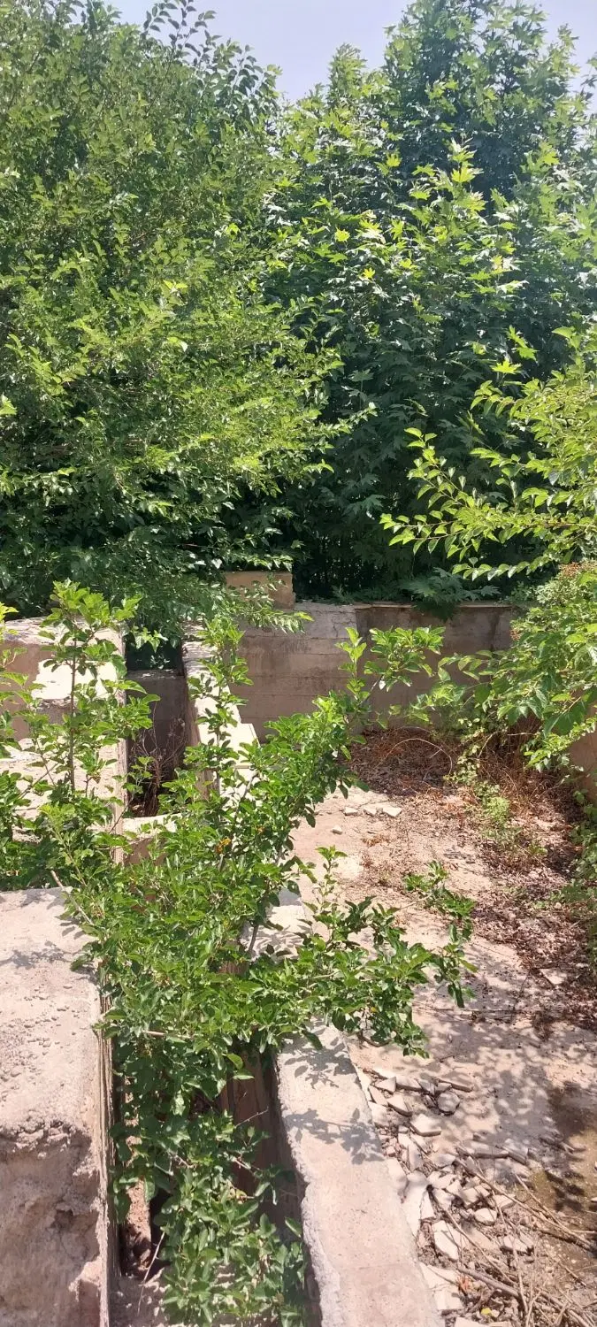 ماهی سرا ۶۱۰ متری زیاران طالقان