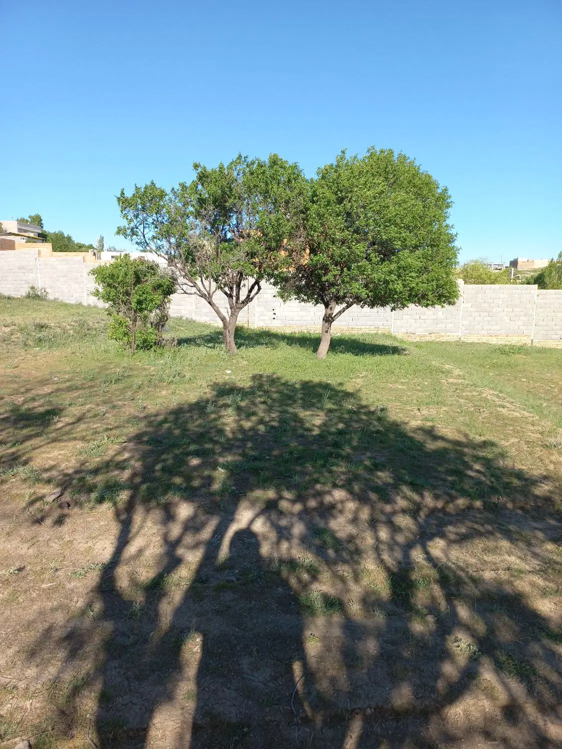 زمین مسکونی روستای اردبیلک