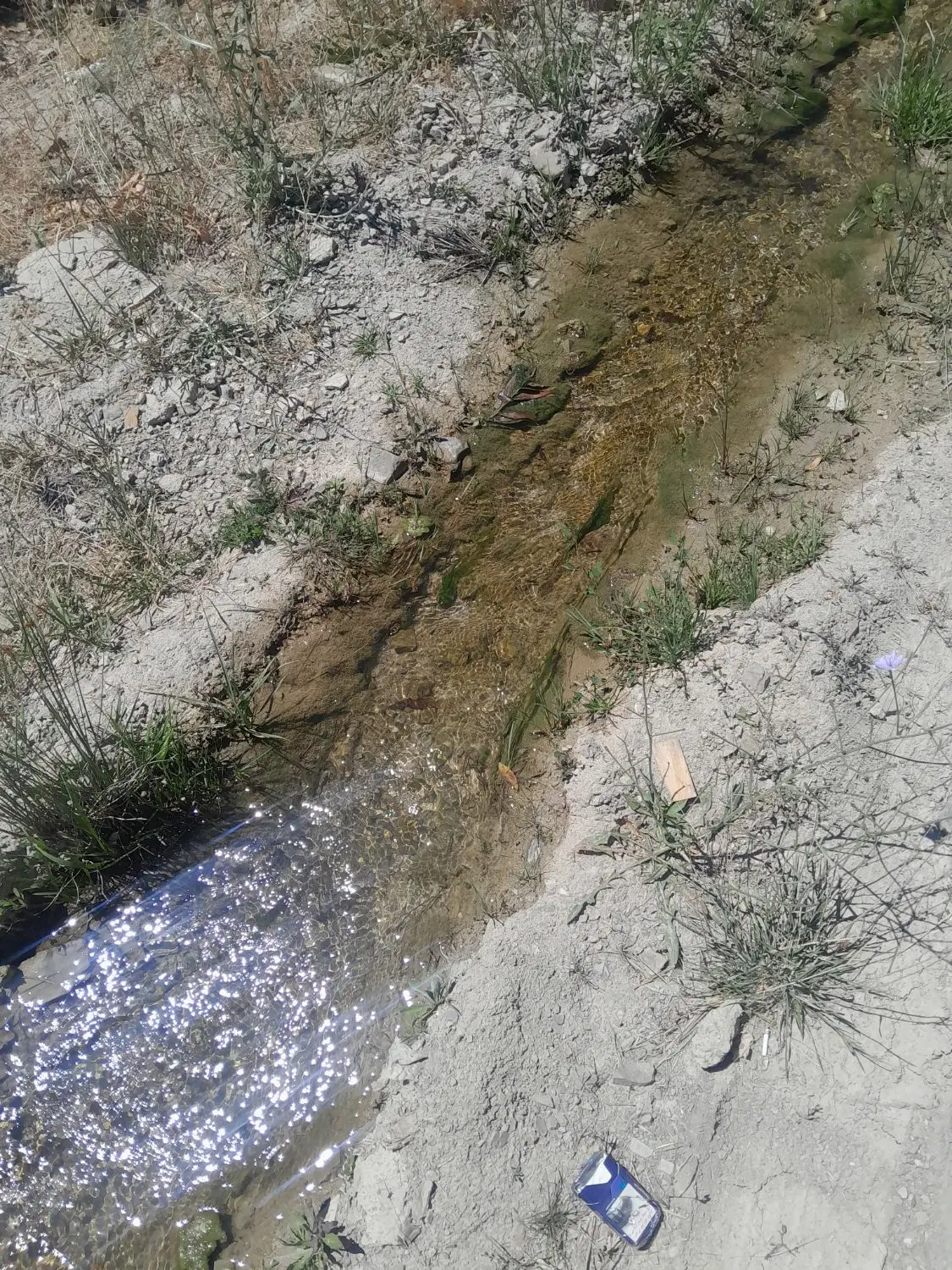 زمین باغی.مغازه در گلوجه