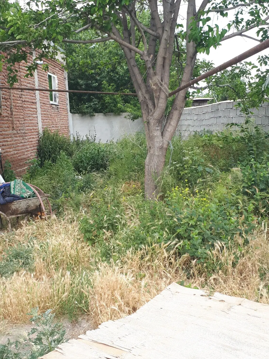 فروش خانه ویلایی