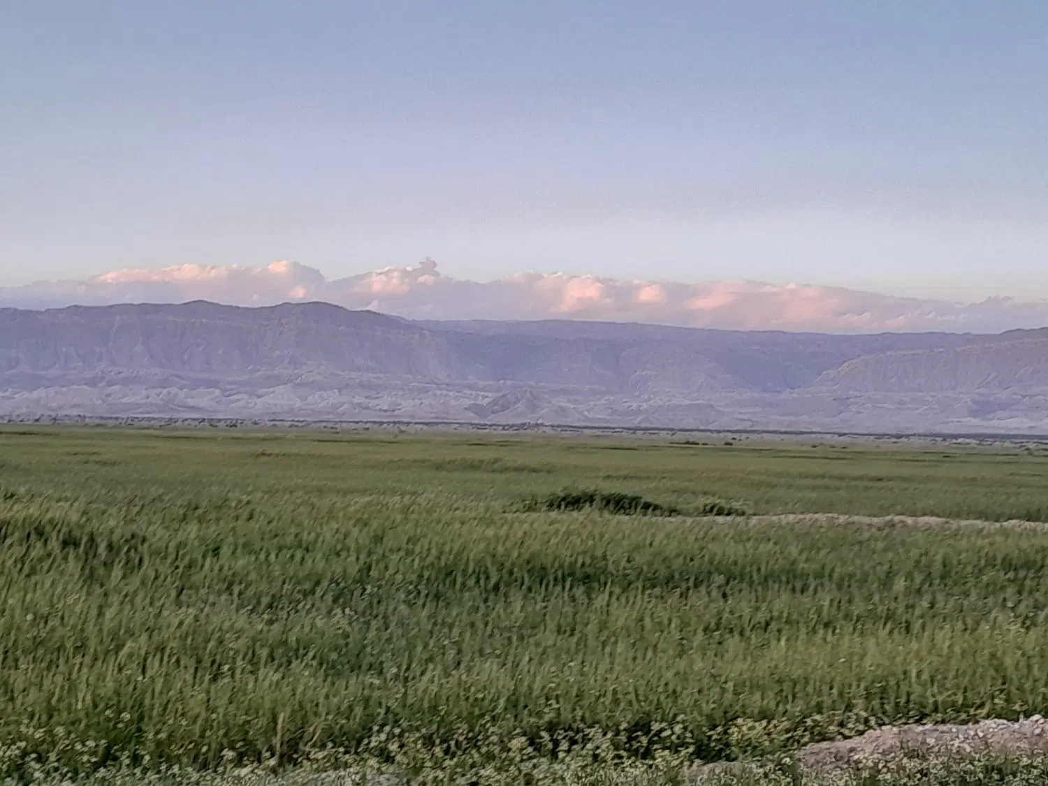 زمین اجاره