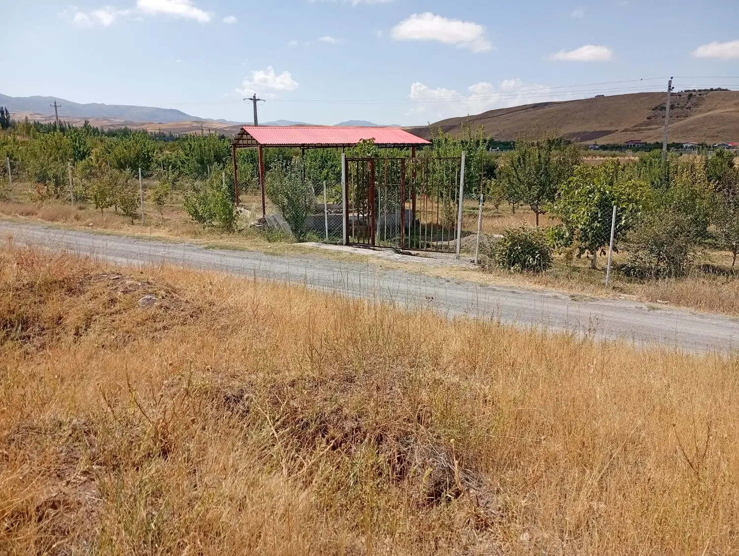 زمین