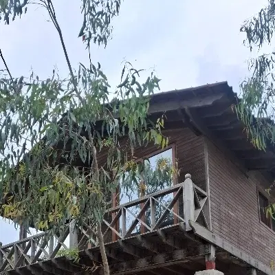 همخونه