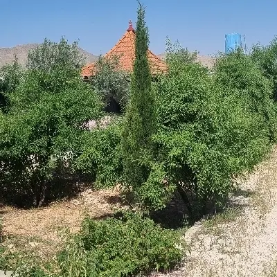 فروش خانه حدودا۸۵متردوخواب در شهرک امام موسی کاظم