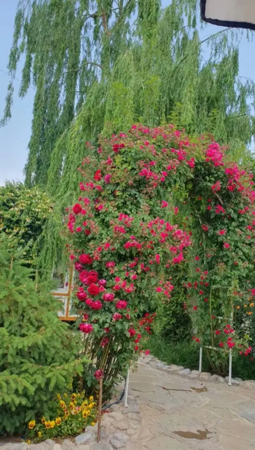 فروش باغ